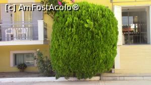 [P32] Spatiu decorativ la intrarea in corpul principal.  » foto by ovidiuyepi
 - 
<span class="allrVoted glyphicon glyphicon-heart hidden" id="av1026011"></span>
<a class="m-l-10 hidden" id="sv1026011" onclick="voting_Foto_DelVot(,1026011,24524)" role="button">șterge vot <span class="glyphicon glyphicon-remove"></span></a>
<a id="v91026011" class=" c-red"  onclick="voting_Foto_SetVot(1026011)" role="button"><span class="glyphicon glyphicon-heart-empty"></span> <b>LIKE</b> = Votează poza</a> <img class="hidden"  id="f1026011W9" src="/imagini/loader.gif" border="0" /><span class="AjErrMes hidden" id="e1026011ErM"></span>