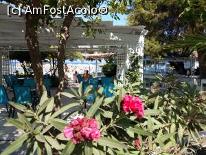 [P27] Nostos bar și plaja Theodorou. » foto by maryka
 - 
<span class="allrVoted glyphicon glyphicon-heart hidden" id="av1027048"></span>
<a class="m-l-10 hidden" id="sv1027048" onclick="voting_Foto_DelVot(,1027048,24538)" role="button">șterge vot <span class="glyphicon glyphicon-remove"></span></a>
<a id="v91027048" class=" c-red"  onclick="voting_Foto_SetVot(1027048)" role="button"><span class="glyphicon glyphicon-heart-empty"></span> <b>LIKE</b> = Votează poza</a> <img class="hidden"  id="f1027048W9" src="/imagini/loader.gif" border="0" /><span class="AjErrMes hidden" id="e1027048ErM"></span>