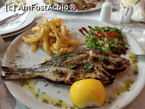 [P10] Sau doradă, Mesogios.  » foto by maryka
 - 
<span class="allrVoted glyphicon glyphicon-heart hidden" id="av1054154"></span>
<a class="m-l-10 hidden" id="sv1054154" onclick="voting_Foto_DelVot(,1054154,24538)" role="button">șterge vot <span class="glyphicon glyphicon-remove"></span></a>
<a id="v91054154" class=" c-red"  onclick="voting_Foto_SetVot(1054154)" role="button"><span class="glyphicon glyphicon-heart-empty"></span> <b>LIKE</b> = Votează poza</a> <img class="hidden"  id="f1054154W9" src="/imagini/loader.gif" border="0" /><span class="AjErrMes hidden" id="e1054154ErM"></span>