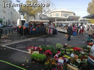 [P13] Haine și flori la intrarea în piață » foto by dognean
 - 
<span class="allrVoted glyphicon glyphicon-heart hidden" id="av1027095"></span>
<a class="m-l-10 hidden" id="sv1027095" onclick="voting_Foto_DelVot(,1027095,24540)" role="button">șterge vot <span class="glyphicon glyphicon-remove"></span></a>
<a id="v91027095" class=" c-red"  onclick="voting_Foto_SetVot(1027095)" role="button"><span class="glyphicon glyphicon-heart-empty"></span> <b>LIKE</b> = Votează poza</a> <img class="hidden"  id="f1027095W9" src="/imagini/loader.gif" border="0" /><span class="AjErrMes hidden" id="e1027095ErM"></span>