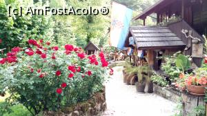 [P24] Restaurantul Petro din Rastoke - curtea plină de flori.  » foto by Aurici
 - 
<span class="allrVoted glyphicon glyphicon-heart hidden" id="av1027418"></span>
<a class="m-l-10 hidden" id="sv1027418" onclick="voting_Foto_DelVot(,1027418,24542)" role="button">șterge vot <span class="glyphicon glyphicon-remove"></span></a>
<a id="v91027418" class=" c-red"  onclick="voting_Foto_SetVot(1027418)" role="button"><span class="glyphicon glyphicon-heart-empty"></span> <b>LIKE</b> = Votează poza</a> <img class="hidden"  id="f1027418W9" src="/imagini/loader.gif" border="0" /><span class="AjErrMes hidden" id="e1027418ErM"></span>