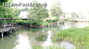 [P35] Terasa Pod Rastockim Krovom, vecină cu Petro.  » foto by Aurici
 - 
<span class="allrVoted glyphicon glyphicon-heart hidden" id="av1027429"></span>
<a class="m-l-10 hidden" id="sv1027429" onclick="voting_Foto_DelVot(,1027429,24542)" role="button">șterge vot <span class="glyphicon glyphicon-remove"></span></a>
<a id="v91027429" class=" c-red"  onclick="voting_Foto_SetVot(1027429)" role="button"><span class="glyphicon glyphicon-heart-empty"></span> <b>LIKE</b> = Votează poza</a> <img class="hidden"  id="f1027429W9" src="/imagini/loader.gif" border="0" /><span class="AjErrMes hidden" id="e1027429ErM"></span>