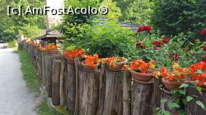 [P06] Restaurantul Petro din Rastoke - până la intrare dar și după aceea, multe flori.  » foto by Aurici
 - 
<span class="allrVoted glyphicon glyphicon-heart hidden" id="av1027400"></span>
<a class="m-l-10 hidden" id="sv1027400" onclick="voting_Foto_DelVot(,1027400,24542)" role="button">șterge vot <span class="glyphicon glyphicon-remove"></span></a>
<a id="v91027400" class=" c-red"  onclick="voting_Foto_SetVot(1027400)" role="button"><span class="glyphicon glyphicon-heart-empty"></span> <b>LIKE</b> = Votează poza</a> <img class="hidden"  id="f1027400W9" src="/imagini/loader.gif" border="0" /><span class="AjErrMes hidden" id="e1027400ErM"></span>