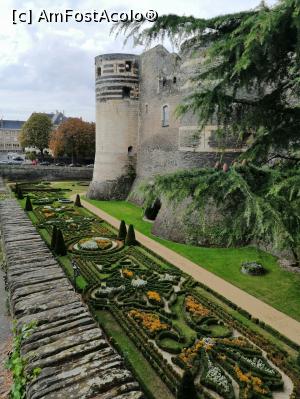 [P23]  -- <small>// FĂRĂ DESCRIERE</small> » foto by dognean
 - 
<span class="allrVoted glyphicon glyphicon-heart hidden" id="av1027222"></span>
<a class="m-l-10 hidden" id="sv1027222" onclick="voting_Foto_DelVot(,1027222,24543)" role="button">șterge vot <span class="glyphicon glyphicon-remove"></span></a>
<a id="v91027222" class=" c-red"  onclick="voting_Foto_SetVot(1027222)" role="button"><span class="glyphicon glyphicon-heart-empty"></span> <b>LIKE</b> = Votează poza</a> <img class="hidden"  id="f1027222W9" src="/imagini/loader.gif" border="0" /><span class="AjErrMes hidden" id="e1027222ErM"></span>