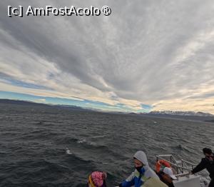 [P14] Croazieră pe Canalul Beagle » foto by elenaadina
 - 
<span class="allrVoted glyphicon glyphicon-heart hidden" id="av1520992"></span>
<a class="m-l-10 hidden" id="sv1520992" onclick="voting_Foto_DelVot(,1520992,24560)" role="button">șterge vot <span class="glyphicon glyphicon-remove"></span></a>
<a id="v91520992" class=" c-red"  onclick="voting_Foto_SetVot(1520992)" role="button"><span class="glyphicon glyphicon-heart-empty"></span> <b>LIKE</b> = Votează poza</a> <img class="hidden"  id="f1520992W9" src="/imagini/loader.gif" border="0" /><span class="AjErrMes hidden" id="e1520992ErM"></span>