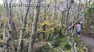 [P10] plimbare în Parcul Tierra del Fuego » foto by elenaadina
 - 
<span class="allrVoted glyphicon glyphicon-heart hidden" id="av1522794"></span>
<a class="m-l-10 hidden" id="sv1522794" onclick="voting_Foto_DelVot(,1522794,24560)" role="button">șterge vot <span class="glyphicon glyphicon-remove"></span></a>
<a id="v91522794" class=" c-red"  onclick="voting_Foto_SetVot(1522794)" role="button"><span class="glyphicon glyphicon-heart-empty"></span> <b>LIKE</b> = Votează poza</a> <img class="hidden"  id="f1522794W9" src="/imagini/loader.gif" border="0" /><span class="AjErrMes hidden" id="e1522794ErM"></span>