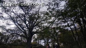 [P11] plimbare în Parcul Tierra del Fuego » foto by elenaadina
 - 
<span class="allrVoted glyphicon glyphicon-heart hidden" id="av1522795"></span>
<a class="m-l-10 hidden" id="sv1522795" onclick="voting_Foto_DelVot(,1522795,24560)" role="button">șterge vot <span class="glyphicon glyphicon-remove"></span></a>
<a id="v91522795" class=" c-red"  onclick="voting_Foto_SetVot(1522795)" role="button"><span class="glyphicon glyphicon-heart-empty"></span> <b>LIKE</b> = Votează poza</a> <img class="hidden"  id="f1522795W9" src="/imagini/loader.gif" border="0" /><span class="AjErrMes hidden" id="e1522795ErM"></span>