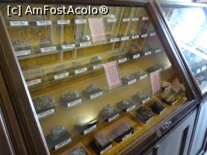 [P07] Vitrine cu roci/minerale - Muzeul de Științele Naturii din Aiud.  » foto by tata123 🔱
 - 
<span class="allrVoted glyphicon glyphicon-heart hidden" id="av1030060"></span>
<a class="m-l-10 hidden" id="sv1030060" onclick="voting_Foto_DelVot(,1030060,24575)" role="button">șterge vot <span class="glyphicon glyphicon-remove"></span></a>
<a id="v91030060" class=" c-red"  onclick="voting_Foto_SetVot(1030060)" role="button"><span class="glyphicon glyphicon-heart-empty"></span> <b>LIKE</b> = Votează poza</a> <img class="hidden"  id="f1030060W9" src="/imagini/loader.gif" border="0" /><span class="AjErrMes hidden" id="e1030060ErM"></span>