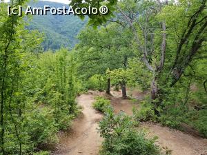 [P34] Coboram către mașină. Am parcurs acest traseu în aproximativ trei ore. » foto by Floryn81
 - 
<span class="allrVoted glyphicon glyphicon-heart hidden" id="av1210016"></span>
<a class="m-l-10 hidden" id="sv1210016" onclick="voting_Foto_DelVot(,1210016,24578)" role="button">șterge vot <span class="glyphicon glyphicon-remove"></span></a>
<a id="v91210016" class=" c-red"  onclick="voting_Foto_SetVot(1210016)" role="button"><span class="glyphicon glyphicon-heart-empty"></span> <b>LIKE</b> = Votează poza</a> <img class="hidden"  id="f1210016W9" src="/imagini/loader.gif" border="0" /><span class="AjErrMes hidden" id="e1210016ErM"></span>