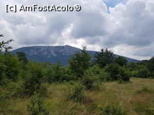 [P05] Cu privirea în depărtare, către munții de la sârbi. » foto by Floryn81
 - 
<span class="allrVoted glyphicon glyphicon-heart hidden" id="av1209987"></span>
<a class="m-l-10 hidden" id="sv1209987" onclick="voting_Foto_DelVot(,1209987,24578)" role="button">șterge vot <span class="glyphicon glyphicon-remove"></span></a>
<a id="v91209987" class=" c-red"  onclick="voting_Foto_SetVot(1209987)" role="button"><span class="glyphicon glyphicon-heart-empty"></span> <b>LIKE</b> = Votează poza</a> <img class="hidden"  id="f1209987W9" src="/imagini/loader.gif" border="0" /><span class="AjErrMes hidden" id="e1209987ErM"></span>