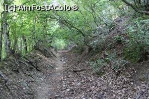 [P26] Parcul Natural Porțile de Fier, Masivul Ciucaru Mic, Canal verde pe Traseul Dubova – Ciucaru Mic » foto by mprofeanu
 - 
<span class="allrVoted glyphicon glyphicon-heart hidden" id="av1191458"></span>
<a class="m-l-10 hidden" id="sv1191458" onclick="voting_Foto_DelVot(,1191458,24578)" role="button">șterge vot <span class="glyphicon glyphicon-remove"></span></a>
<a id="v91191458" class=" c-red"  onclick="voting_Foto_SetVot(1191458)" role="button"><span class="glyphicon glyphicon-heart-empty"></span> <b>LIKE</b> = Votează poza</a> <img class="hidden"  id="f1191458W9" src="/imagini/loader.gif" border="0" /><span class="AjErrMes hidden" id="e1191458ErM"></span>