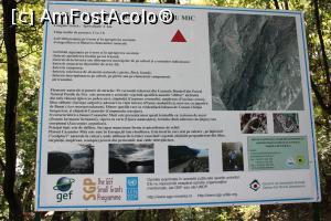 [P30] Parcul Natural Porțile de Fier, Masivul Ciucaru Mic, Traseul Dubova – Ciucaru Mic, Panou cu informații lângă Locul de popas » foto by mprofeanu
 - 
<span class="allrVoted glyphicon glyphicon-heart hidden" id="av1191462"></span>
<a class="m-l-10 hidden" id="sv1191462" onclick="voting_Foto_DelVot(,1191462,24578)" role="button">șterge vot <span class="glyphicon glyphicon-remove"></span></a>
<a id="v91191462" class=" c-red"  onclick="voting_Foto_SetVot(1191462)" role="button"><span class="glyphicon glyphicon-heart-empty"></span> <b>LIKE</b> = Votează poza</a> <img class="hidden"  id="f1191462W9" src="/imagini/loader.gif" border="0" /><span class="AjErrMes hidden" id="e1191462ErM"></span>