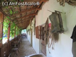 [P10] Pe prispa casei slovace - Muzeul Satului Bănățean.  » foto by tata123 🔱
 - 
<span class="allrVoted glyphicon glyphicon-heart hidden" id="av812801"></span>
<a class="m-l-10 hidden" id="sv812801" onclick="voting_Foto_DelVot(,812801,24580)" role="button">șterge vot <span class="glyphicon glyphicon-remove"></span></a>
<a id="v9812801" class=" c-red"  onclick="voting_Foto_SetVot(812801)" role="button"><span class="glyphicon glyphicon-heart-empty"></span> <b>LIKE</b> = Votează poza</a> <img class="hidden"  id="f812801W9" src="/imagini/loader.gif" border="0" /><span class="AjErrMes hidden" id="e812801ErM"></span>