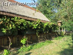[P09] Casa slovacă - Muzeul Satului Bănățean.  » foto by tata123 🔱
 - 
<span class="allrVoted glyphicon glyphicon-heart hidden" id="av812800"></span>
<a class="m-l-10 hidden" id="sv812800" onclick="voting_Foto_DelVot(,812800,24580)" role="button">șterge vot <span class="glyphicon glyphicon-remove"></span></a>
<a id="v9812800" class=" c-red"  onclick="voting_Foto_SetVot(812800)" role="button"><span class="glyphicon glyphicon-heart-empty"></span> <b>LIKE</b> = Votează poza</a> <img class="hidden"  id="f812800W9" src="/imagini/loader.gif" border="0" /><span class="AjErrMes hidden" id="e812800ErM"></span>
