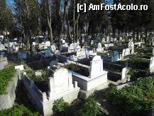 [P45] In afara zidurilor e o zona de cimitire, mai vechi si mai noi. » foto by TraianS
 - 
<span class="allrVoted glyphicon glyphicon-heart hidden" id="av329150"></span>
<a class="m-l-10 hidden" id="sv329150" onclick="voting_Foto_DelVot(,329150,24606)" role="button">șterge vot <span class="glyphicon glyphicon-remove"></span></a>
<a id="v9329150" class=" c-red"  onclick="voting_Foto_SetVot(329150)" role="button"><span class="glyphicon glyphicon-heart-empty"></span> <b>LIKE</b> = Votează poza</a> <img class="hidden"  id="f329150W9" src="/imagini/loader.gif" border="0" /><span class="AjErrMes hidden" id="e329150ErM"></span>