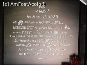 [P05] Un mesaj de 'Bun venit! ' » foto by DOINITA
 - 
<span class="allrVoted glyphicon glyphicon-heart hidden" id="av1034154"></span>
<a class="m-l-10 hidden" id="sv1034154" onclick="voting_Foto_DelVot(,1034154,24612)" role="button">șterge vot <span class="glyphicon glyphicon-remove"></span></a>
<a id="v91034154" class=" c-red"  onclick="voting_Foto_SetVot(1034154)" role="button"><span class="glyphicon glyphicon-heart-empty"></span> <b>LIKE</b> = Votează poza</a> <img class="hidden"  id="f1034154W9" src="/imagini/loader.gif" border="0" /><span class="AjErrMes hidden" id="e1034154ErM"></span>