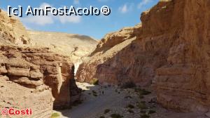 [P15] Red Canyon, peisaj selenar » foto by Costi
 - 
<span class="allrVoted glyphicon glyphicon-heart hidden" id="av1147638"></span>
<a class="m-l-10 hidden" id="sv1147638" onclick="voting_Foto_DelVot(,1147638,24635)" role="button">șterge vot <span class="glyphicon glyphicon-remove"></span></a>
<a id="v91147638" class=" c-red"  onclick="voting_Foto_SetVot(1147638)" role="button"><span class="glyphicon glyphicon-heart-empty"></span> <b>LIKE</b> = Votează poza</a> <img class="hidden"  id="f1147638W9" src="/imagini/loader.gif" border="0" /><span class="AjErrMes hidden" id="e1147638ErM"></span>