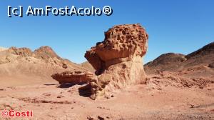 [P25] Parcul Timna: o ciupercă și jumătate » foto by Costi
 - 
<span class="allrVoted glyphicon glyphicon-heart hidden" id="av1147648"></span>
<a class="m-l-10 hidden" id="sv1147648" onclick="voting_Foto_DelVot(,1147648,24635)" role="button">șterge vot <span class="glyphicon glyphicon-remove"></span></a>
<a id="v91147648" class=" c-red"  onclick="voting_Foto_SetVot(1147648)" role="button"><span class="glyphicon glyphicon-heart-empty"></span> <b>LIKE</b> = Votează poza</a> <img class="hidden"  id="f1147648W9" src="/imagini/loader.gif" border="0" /><span class="AjErrMes hidden" id="e1147648ErM"></span>