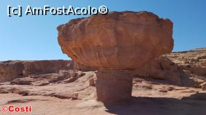 [P26] Parcul Timna: ciuperca, loc unde sunt și urme arheologice din timpul civilizației egiptene » foto by Costi
 - 
<span class="allrVoted glyphicon glyphicon-heart hidden" id="av1147649"></span>
<a class="m-l-10 hidden" id="sv1147649" onclick="voting_Foto_DelVot(,1147649,24635)" role="button">șterge vot <span class="glyphicon glyphicon-remove"></span></a>
<a id="v91147649" class=" c-red"  onclick="voting_Foto_SetVot(1147649)" role="button"><span class="glyphicon glyphicon-heart-empty"></span> <b>LIKE</b> = Votează poza</a> <img class="hidden"  id="f1147649W9" src="/imagini/loader.gif" border="0" /><span class="AjErrMes hidden" id="e1147649ErM"></span>