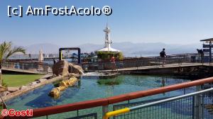 [P36] În incinta Parcului Observatorului Submarin » foto by Costi
 - 
<span class="allrVoted glyphicon glyphicon-heart hidden" id="av1147659"></span>
<a class="m-l-10 hidden" id="sv1147659" onclick="voting_Foto_DelVot(,1147659,24635)" role="button">șterge vot <span class="glyphicon glyphicon-remove"></span></a>
<a id="v91147659" class=" c-red"  onclick="voting_Foto_SetVot(1147659)" role="button"><span class="glyphicon glyphicon-heart-empty"></span> <b>LIKE</b> = Votează poza</a> <img class="hidden"  id="f1147659W9" src="/imagini/loader.gif" border="0" /><span class="AjErrMes hidden" id="e1147659ErM"></span>