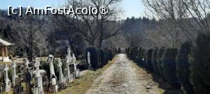 [P26] Mănăstirea Văleni, Argeș, Alee ce duce la Biserica-bolniță 'Învierea lui Lazăr' pozată de lângă ea » foto by mprofeanu
 - 
<span class="allrVoted glyphicon glyphicon-heart hidden" id="av1464922"></span>
<a class="m-l-10 hidden" id="sv1464922" onclick="voting_Foto_DelVot(,1464922,24636)" role="button">șterge vot <span class="glyphicon glyphicon-remove"></span></a>
<a id="v91464922" class=" c-red"  onclick="voting_Foto_SetVot(1464922)" role="button"><span class="glyphicon glyphicon-heart-empty"></span> <b>LIKE</b> = Votează poza</a> <img class="hidden"  id="f1464922W9" src="/imagini/loader.gif" border="0" /><span class="AjErrMes hidden" id="e1464922ErM"></span>