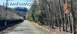 [P30] Mănăstirea Văleni, Argeș, Pădurea și drumul ce duce la mănăstire pozate la întoarcere » foto by mprofeanu
 - 
<span class="allrVoted glyphicon glyphicon-heart hidden" id="av1464926"></span>
<a class="m-l-10 hidden" id="sv1464926" onclick="voting_Foto_DelVot(,1464926,24636)" role="button">șterge vot <span class="glyphicon glyphicon-remove"></span></a>
<a id="v91464926" class=" c-red"  onclick="voting_Foto_SetVot(1464926)" role="button"><span class="glyphicon glyphicon-heart-empty"></span> <b>LIKE</b> = Votează poza</a> <img class="hidden"  id="f1464926W9" src="/imagini/loader.gif" border="0" /><span class="AjErrMes hidden" id="e1464926ErM"></span>