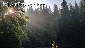 [P21] Rasarit de soare pe malul apei » foto by DOINITA
 - 
<span class="allrVoted glyphicon glyphicon-heart hidden" id="av1036191"></span>
<a class="m-l-10 hidden" id="sv1036191" onclick="voting_Foto_DelVot(,1036191,24637)" role="button">șterge vot <span class="glyphicon glyphicon-remove"></span></a>
<a id="v91036191" class=" c-red"  onclick="voting_Foto_SetVot(1036191)" role="button"><span class="glyphicon glyphicon-heart-empty"></span> <b>LIKE</b> = Votează poza</a> <img class="hidden"  id="f1036191W9" src="/imagini/loader.gif" border="0" /><span class="AjErrMes hidden" id="e1036191ErM"></span>