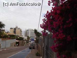 [P18] Ieşind din patio pe strada Peres şi bougainvillea noastră aşa cum se vedea din stradă » foto by irinad
 - 
<span class="allrVoted glyphicon glyphicon-heart hidden" id="av1037000"></span>
<a class="m-l-10 hidden" id="sv1037000" onclick="voting_Foto_DelVot(,1037000,24646)" role="button">șterge vot <span class="glyphicon glyphicon-remove"></span></a>
<a id="v91037000" class=" c-red"  onclick="voting_Foto_SetVot(1037000)" role="button"><span class="glyphicon glyphicon-heart-empty"></span> <b>LIKE</b> = Votează poza</a> <img class="hidden"  id="f1037000W9" src="/imagini/loader.gif" border="0" /><span class="AjErrMes hidden" id="e1037000ErM"></span>