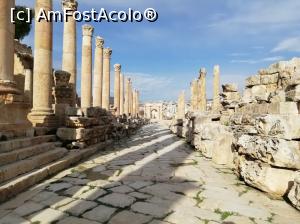 [P15] Jerash - Via Cardo » foto by Marius 72
 - 
<span class="allrVoted glyphicon glyphicon-heart hidden" id="av1150963"></span>
<a class="m-l-10 hidden" id="sv1150963" onclick="voting_Foto_DelVot(,1150963,24654)" role="button">șterge vot <span class="glyphicon glyphicon-remove"></span></a>
<a id="v91150963" class=" c-red"  onclick="voting_Foto_SetVot(1150963)" role="button"><span class="glyphicon glyphicon-heart-empty"></span> <b>LIKE</b> = Votează poza</a> <img class="hidden"  id="f1150963W9" src="/imagini/loader.gif" border="0" /><span class="AjErrMes hidden" id="e1150963ErM"></span>