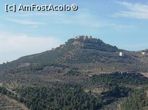 [P08] Castelul Ajlouin văzut din depărtare » foto by Marius 72
 - 
<span class="allrVoted glyphicon glyphicon-heart hidden" id="av1150956"></span>
<a class="m-l-10 hidden" id="sv1150956" onclick="voting_Foto_DelVot(,1150956,24654)" role="button">șterge vot <span class="glyphicon glyphicon-remove"></span></a>
<a id="v91150956" class=" c-red"  onclick="voting_Foto_SetVot(1150956)" role="button"><span class="glyphicon glyphicon-heart-empty"></span> <b>LIKE</b> = Votează poza</a> <img class="hidden"  id="f1150956W9" src="/imagini/loader.gif" border="0" /><span class="AjErrMes hidden" id="e1150956ErM"></span>