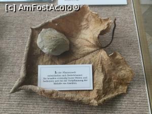 [P13] Muzeul de Geologie - Dovezi din Cretacic » foto by mishu
 - 
<span class="allrVoted glyphicon glyphicon-heart hidden" id="av1038046"></span>
<a class="m-l-10 hidden" id="sv1038046" onclick="voting_Foto_DelVot(,1038046,24660)" role="button">șterge vot <span class="glyphicon glyphicon-remove"></span></a>
<a id="v91038046" class=" c-red"  onclick="voting_Foto_SetVot(1038046)" role="button"><span class="glyphicon glyphicon-heart-empty"></span> <b>LIKE</b> = Votează poza</a> <img class="hidden"  id="f1038046W9" src="/imagini/loader.gif" border="0" /><span class="AjErrMes hidden" id="e1038046ErM"></span>