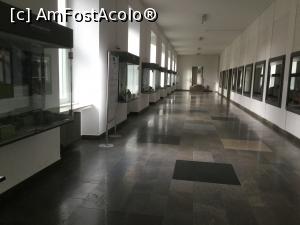 [P29] Muzeul de Geologie - Si am ajuns si la etajul 1, alte vitrine, alte pietre » foto by mishu
 - 
<span class="allrVoted glyphicon glyphicon-heart hidden" id="av1038072"></span>
<a class="m-l-10 hidden" id="sv1038072" onclick="voting_Foto_DelVot(,1038072,24660)" role="button">șterge vot <span class="glyphicon glyphicon-remove"></span></a>
<a id="v91038072" class=" c-red"  onclick="voting_Foto_SetVot(1038072)" role="button"><span class="glyphicon glyphicon-heart-empty"></span> <b>LIKE</b> = Votează poza</a> <img class="hidden"  id="f1038072W9" src="/imagini/loader.gif" border="0" /><span class="AjErrMes hidden" id="e1038072ErM"></span>