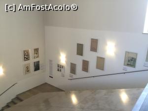 [P19] Muzeul 5 continente - Expozitie fotografica pe scari » foto by mishu
 - 
<span class="allrVoted glyphicon glyphicon-heart hidden" id="av1039600"></span>
<a class="m-l-10 hidden" id="sv1039600" onclick="voting_Foto_DelVot(,1039600,24660)" role="button">șterge vot <span class="glyphicon glyphicon-remove"></span></a>
<a id="v91039600" class=" c-red"  onclick="voting_Foto_SetVot(1039600)" role="button"><span class="glyphicon glyphicon-heart-empty"></span> <b>LIKE</b> = Votează poza</a> <img class="hidden"  id="f1039600W9" src="/imagini/loader.gif" border="0" /><span class="AjErrMes hidden" id="e1039600ErM"></span>
