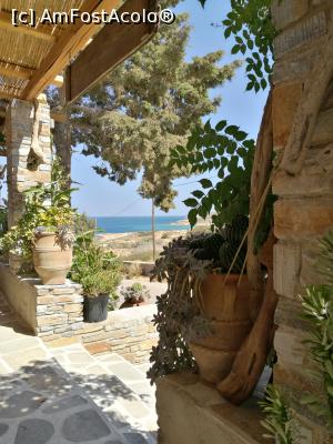[P12] Taverna Alonistra, Psathi » foto by crismis
 - 
<span class="allrVoted glyphicon glyphicon-heart hidden" id="av1039059"></span>
<a class="m-l-10 hidden" id="sv1039059" onclick="voting_Foto_DelVot(,1039059,24671)" role="button">șterge vot <span class="glyphicon glyphicon-remove"></span></a>
<a id="v91039059" class=" c-red"  onclick="voting_Foto_SetVot(1039059)" role="button"><span class="glyphicon glyphicon-heart-empty"></span> <b>LIKE</b> = Votează poza</a> <img class="hidden"  id="f1039059W9" src="/imagini/loader.gif" border="0" /><span class="AjErrMes hidden" id="e1039059ErM"></span>