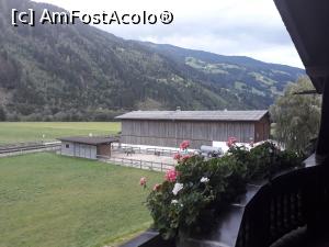 [P18] Balconul bucătăriei, cu vedere la măgărușii vecini.  » foto by Aurici
 - 
<span class="allrVoted glyphicon glyphicon-heart hidden" id="av1040752"></span>
<a class="m-l-10 hidden" id="sv1040752" onclick="voting_Foto_DelVot(,1040752,24690)" role="button">șterge vot <span class="glyphicon glyphicon-remove"></span></a>
<a id="v91040752" class=" c-red"  onclick="voting_Foto_SetVot(1040752)" role="button"><span class="glyphicon glyphicon-heart-empty"></span> <b>LIKE</b> = Votează poza</a> <img class="hidden"  id="f1040752W9" src="/imagini/loader.gif" border="0" /><span class="AjErrMes hidden" id="e1040752ErM"></span>