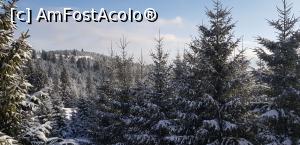 [P08] instantaneu de la balconul camerei » foto by zapacitu
 - 
<span class="allrVoted glyphicon glyphicon-heart hidden" id="av1153882"></span>
<a class="m-l-10 hidden" id="sv1153882" onclick="voting_Foto_DelVot(,1153882,24691)" role="button">șterge vot <span class="glyphicon glyphicon-remove"></span></a>
<a id="v91153882" class=" c-red"  onclick="voting_Foto_SetVot(1153882)" role="button"><span class="glyphicon glyphicon-heart-empty"></span> <b>LIKE</b> = Votează poza</a> <img class="hidden"  id="f1153882W9" src="/imagini/loader.gif" border="0" /><span class="AjErrMes hidden" id="e1153882ErM"></span>