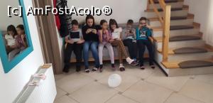 [P09] în așteptarea bucatelor...  » foto by zapacitu
 - 
<span class="allrVoted glyphicon glyphicon-heart hidden" id="av1153883"></span>
<a class="m-l-10 hidden" id="sv1153883" onclick="voting_Foto_DelVot(,1153883,24691)" role="button">șterge vot <span class="glyphicon glyphicon-remove"></span></a>
<a id="v91153883" class=" c-red"  onclick="voting_Foto_SetVot(1153883)" role="button"><span class="glyphicon glyphicon-heart-empty"></span> <b>LIKE</b> = Votează poza</a> <img class="hidden"  id="f1153883W9" src="/imagini/loader.gif" border="0" /><span class="AjErrMes hidden" id="e1153883ErM"></span>