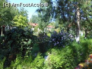 [P06] Mănăstirea Radu Negru - Incinta, un adevărat parc.  » foto by iulianic
 - 
<span class="allrVoted glyphicon glyphicon-heart hidden" id="av1041478"></span>
<a class="m-l-10 hidden" id="sv1041478" onclick="voting_Foto_DelVot(,1041478,24699)" role="button">șterge vot <span class="glyphicon glyphicon-remove"></span></a>
<a id="v91041478" class=" c-red"  onclick="voting_Foto_SetVot(1041478)" role="button"><span class="glyphicon glyphicon-heart-empty"></span> <b>LIKE</b> = Votează poza</a> <img class="hidden"  id="f1041478W9" src="/imagini/loader.gif" border="0" /><span class="AjErrMes hidden" id="e1041478ErM"></span>
