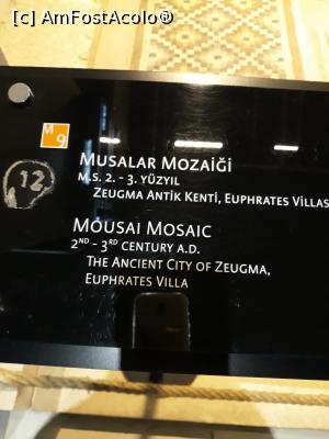 [P07] fiecare exponat cu explicatia in limba turca si in limba engleza » foto by adrianbogdan
 - 
<span class="allrVoted glyphicon glyphicon-heart hidden" id="av1042161"></span>
<a class="m-l-10 hidden" id="sv1042161" onclick="voting_Foto_DelVot(,1042161,24713)" role="button">șterge vot <span class="glyphicon glyphicon-remove"></span></a>
<a id="v91042161" class=" c-red"  onclick="voting_Foto_SetVot(1042161)" role="button"><span class="glyphicon glyphicon-heart-empty"></span> <b>LIKE</b> = Votează poza</a> <img class="hidden"  id="f1042161W9" src="/imagini/loader.gif" border="0" /><span class="AjErrMes hidden" id="e1042161ErM"></span>