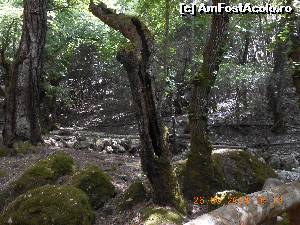 [P10] Aici sălășluiesc fluturii.  » foto by Rodel
 - 
<span class="allrVoted glyphicon glyphicon-heart hidden" id="av574482"></span>
<a class="m-l-10 hidden" id="sv574482" onclick="voting_Foto_DelVot(,574482,24714)" role="button">șterge vot <span class="glyphicon glyphicon-remove"></span></a>
<a id="v9574482" class=" c-red"  onclick="voting_Foto_SetVot(574482)" role="button"><span class="glyphicon glyphicon-heart-empty"></span> <b>LIKE</b> = Votează poza</a> <img class="hidden"  id="f574482W9" src="/imagini/loader.gif" border="0" /><span class="AjErrMes hidden" id="e574482ErM"></span>