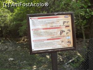 [P26] Reguli pentru vizitatori » foto by irinad
 - 
<span class="allrVoted glyphicon glyphicon-heart hidden" id="av1042554"></span>
<a class="m-l-10 hidden" id="sv1042554" onclick="voting_Foto_DelVot(,1042554,24714)" role="button">șterge vot <span class="glyphicon glyphicon-remove"></span></a>
<a id="v91042554" class=" c-red"  onclick="voting_Foto_SetVot(1042554)" role="button"><span class="glyphicon glyphicon-heart-empty"></span> <b>LIKE</b> = Votează poza</a> <img class="hidden"  id="f1042554W9" src="/imagini/loader.gif" border="0" /><span class="AjErrMes hidden" id="e1042554ErM"></span>