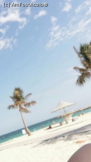 [P04] Al mamzar Beach Park » foto by iancusabin
 - 
<span class="allrVoted glyphicon glyphicon-heart hidden" id="av1044268"></span>
<a class="m-l-10 hidden" id="sv1044268" onclick="voting_Foto_DelVot(,1044268,24726)" role="button">șterge vot <span class="glyphicon glyphicon-remove"></span></a>
<a id="v91044268" class=" c-red"  onclick="voting_Foto_SetVot(1044268)" role="button"><span class="glyphicon glyphicon-heart-empty"></span> <b>LIKE</b> = Votează poza</a> <img class="hidden"  id="f1044268W9" src="/imagini/loader.gif" border="0" /><span class="AjErrMes hidden" id="e1044268ErM"></span>