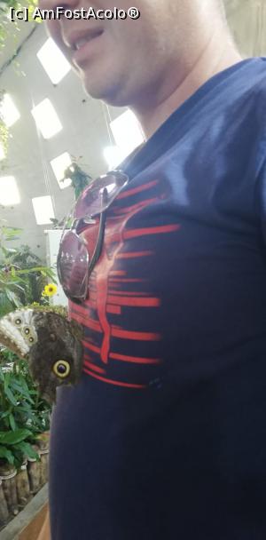 [P08]  -- <small>// FĂRĂ DESCRIERE</small> » foto by iancusabin
 - 
<span class="allrVoted glyphicon glyphicon-heart hidden" id="av1044273"></span>
<a class="m-l-10 hidden" id="sv1044273" onclick="voting_Foto_DelVot(,1044273,24726)" role="button">șterge vot <span class="glyphicon glyphicon-remove"></span></a>
<a id="v91044273" class=" c-red"  onclick="voting_Foto_SetVot(1044273)" role="button"><span class="glyphicon glyphicon-heart-empty"></span> <b>LIKE</b> = Votează poza</a> <img class="hidden"  id="f1044273W9" src="/imagini/loader.gif" border="0" /><span class="AjErrMes hidden" id="e1044273ErM"></span>
