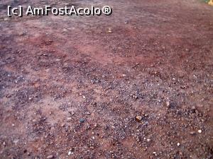 [P07] Nisipul roşu din parc » foto by Michi
 - 
<span class="allrVoted glyphicon glyphicon-heart hidden" id="av1045992"></span>
<a class="m-l-10 hidden" id="sv1045992" onclick="voting_Foto_DelVot(,1045992,24752)" role="button">șterge vot <span class="glyphicon glyphicon-remove"></span></a>
<a id="v91045992" class=" c-red"  onclick="voting_Foto_SetVot(1045992)" role="button"><span class="glyphicon glyphicon-heart-empty"></span> <b>LIKE</b> = Votează poza</a> <img class="hidden"  id="f1045992W9" src="/imagini/loader.gif" border="0" /><span class="AjErrMes hidden" id="e1045992ErM"></span>