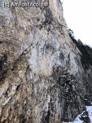 [P15] Cheile Zarnestilor » foto by Anduise
 - 
<span class="allrVoted glyphicon glyphicon-heart hidden" id="av1046896"></span>
<a class="m-l-10 hidden" id="sv1046896" onclick="voting_Foto_DelVot(,1046896,24768)" role="button">șterge vot <span class="glyphicon glyphicon-remove"></span></a>
<a id="v91046896" class=" c-red"  onclick="voting_Foto_SetVot(1046896)" role="button"><span class="glyphicon glyphicon-heart-empty"></span> <b>LIKE</b> = Votează poza</a> <img class="hidden"  id="f1046896W9" src="/imagini/loader.gif" border="0" /><span class="AjErrMes hidden" id="e1046896ErM"></span>