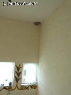 [P07] aceeasi casa scarii » foto by cristiml
 - 
<span class="allrVoted glyphicon glyphicon-heart hidden" id="av1048009"></span>
<a class="m-l-10 hidden" id="sv1048009" onclick="voting_Foto_DelVot(,1048009,24786)" role="button">șterge vot <span class="glyphicon glyphicon-remove"></span></a>
<a id="v91048009" class=" c-red"  onclick="voting_Foto_SetVot(1048009)" role="button"><span class="glyphicon glyphicon-heart-empty"></span> <b>LIKE</b> = Votează poza</a> <img class="hidden"  id="f1048009W9" src="/imagini/loader.gif" border="0" /><span class="AjErrMes hidden" id="e1048009ErM"></span>