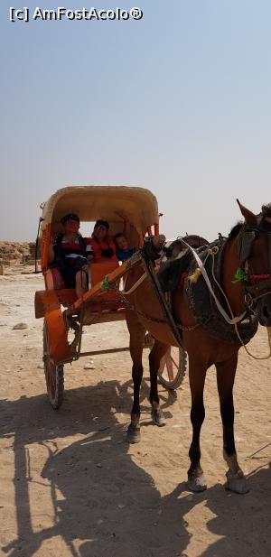 [P49] plimbarea cu sareta la pirmaide si salvarea noastra din arsita desertului. am fi fost terminati fara acest ajutor » foto by adutza_ghiocel
 - 
<span class="allrVoted glyphicon glyphicon-heart hidden" id="av1048957"></span>
<a class="m-l-10 hidden" id="sv1048957" onclick="voting_Foto_DelVot(,1048957,24800)" role="button">șterge vot <span class="glyphicon glyphicon-remove"></span></a>
<a id="v91048957" class=" c-red"  onclick="voting_Foto_SetVot(1048957)" role="button"><span class="glyphicon glyphicon-heart-empty"></span> <b>LIKE</b> = Votează poza</a> <img class="hidden"  id="f1048957W9" src="/imagini/loader.gif" border="0" /><span class="AjErrMes hidden" id="e1048957ErM"></span>