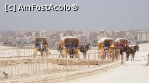 [P51] nu prea multi turisti la piramide. noroc de sarete » foto by adutza_ghiocel
 - 
<span class="allrVoted glyphicon glyphicon-heart hidden" id="av1048959"></span>
<a class="m-l-10 hidden" id="sv1048959" onclick="voting_Foto_DelVot(,1048959,24800)" role="button">șterge vot <span class="glyphicon glyphicon-remove"></span></a>
<a id="v91048959" class=" c-red"  onclick="voting_Foto_SetVot(1048959)" role="button"><span class="glyphicon glyphicon-heart-empty"></span> <b>LIKE</b> = Votează poza</a> <img class="hidden"  id="f1048959W9" src="/imagini/loader.gif" border="0" /><span class="AjErrMes hidden" id="e1048959ErM"></span>