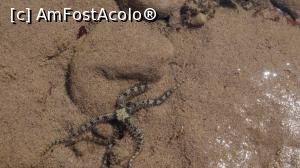 [P05] diverse vietati se pot observa si fara sa intri in apa » foto by adutza_ghiocel
 - 
<span class="allrVoted glyphicon glyphicon-heart hidden" id="av1050483"></span>
<a class="m-l-10 hidden" id="sv1050483" onclick="voting_Foto_DelVot(,1050483,24816)" role="button">șterge vot <span class="glyphicon glyphicon-remove"></span></a>
<a id="v91050483" class=" c-red"  onclick="voting_Foto_SetVot(1050483)" role="button"><span class="glyphicon glyphicon-heart-empty"></span> <b>LIKE</b> = Votează poza</a> <img class="hidden"  id="f1050483W9" src="/imagini/loader.gif" border="0" /><span class="AjErrMes hidden" id="e1050483ErM"></span>