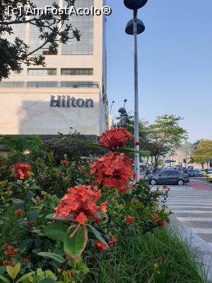 [P11] Hilton hotel » foto by robert
 - 
<span class="allrVoted glyphicon glyphicon-heart hidden" id="av1129980"></span>
<a class="m-l-10 hidden" id="sv1129980" onclick="voting_Foto_DelVot(,1129980,24817)" role="button">șterge vot <span class="glyphicon glyphicon-remove"></span></a>
<a id="v91129980" class=" c-red"  onclick="voting_Foto_SetVot(1129980)" role="button"><span class="glyphicon glyphicon-heart-empty"></span> <b>LIKE</b> = Votează poza</a> <img class="hidden"  id="f1129980W9" src="/imagini/loader.gif" border="0" /><span class="AjErrMes hidden" id="e1129980ErM"></span>